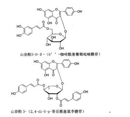 糖苷及糖苷鍵