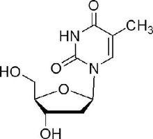 胸腺嘧啶核苷