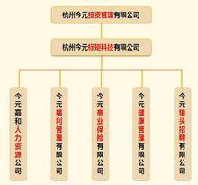 今元集團組織結構