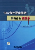 10kv架空配電線路帶電作業指導書