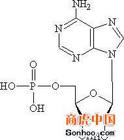 尿苷二磷酸葡糖