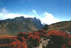 蒼山大理冰期U型谷