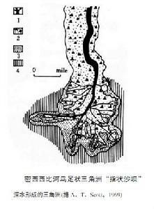 河控三角洲沉積