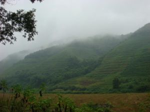 龍洞河自然村