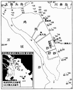 雞抱沙