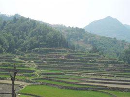 龍王溝村[山西省長治市屯留縣河神廟鄉下轄村]