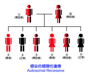 脊髓性肌肉萎縮症