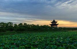 上海海灣國家森林公園