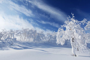 寒冬臘月冰雪