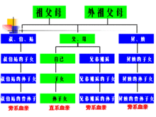 近親定義