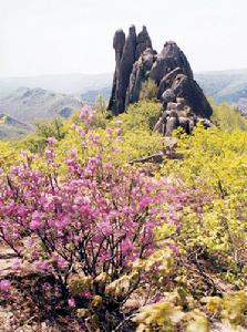 三道關國家森林公園