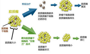 生物刀技術示意圖