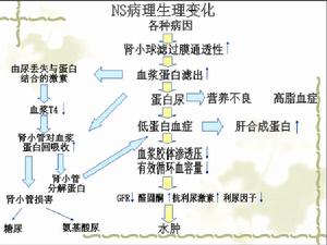 感染性急性小管間質性腎炎