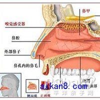 兒童過敏性鼻炎