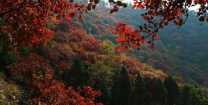 蒙陰蒙山旅遊景區