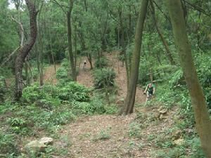 大夫山腳踏車場景1 