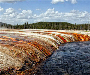 Yellowstone National Park 黃石國家公園