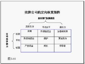 定向政策矩陣