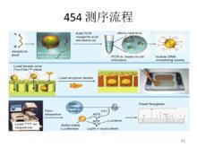 454測序流程