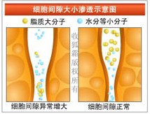 殺狐清