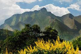 西和縣仇池山