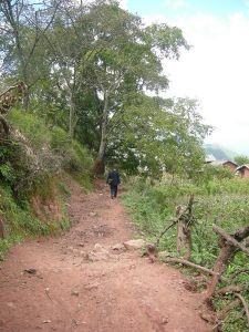 黃立坪村