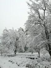 2018年1月3日，廣水大雪