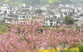 桃花村[雲南安寧市連然鎮下轄村]