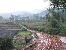 山後自然村[雲南普洱景谷縣威遠鎮聯合村委會山後自然村]