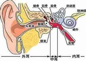 美尼爾式綜合症