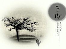 斷腸人[漢語詞語]