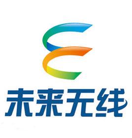 福建未來無線信息技術有限公司