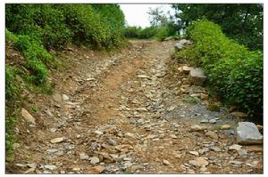 叢桿自然村通村道路