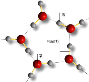 權能量子活化磁