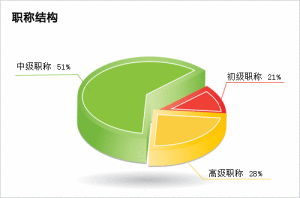 光伏人才招聘網站內人才職稱架構