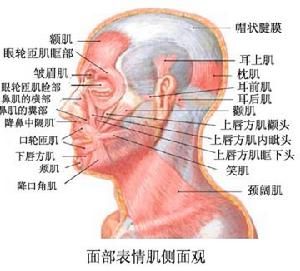 麗人醒膚術