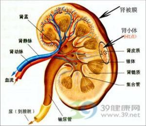 糖尿病腎衰竭