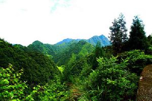 雲湖森林公園