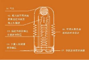 飛機杯結構