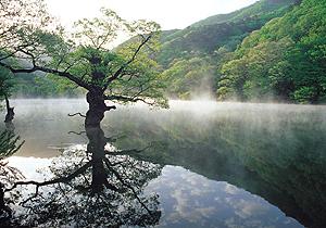 注山池