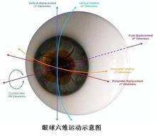 眼球六維運動示意圖