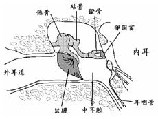 內耳疾病