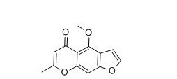 齒阿米素