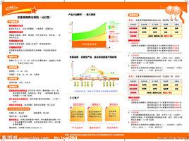 新華保險吉星高照