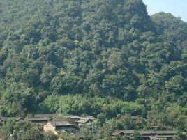 平壩村[雲南文山州文山縣平壩鎮下轄村]