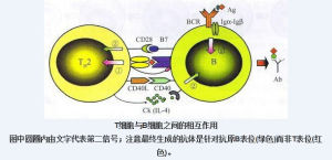 齊變模式