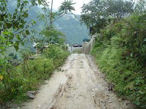 白泥土村通村道路