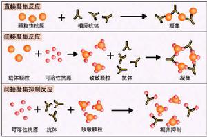 膜載體