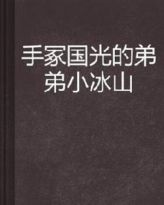 手冢國光的弟弟小冰山