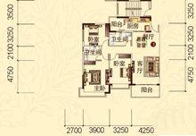 康乃馨老年城戶型圖